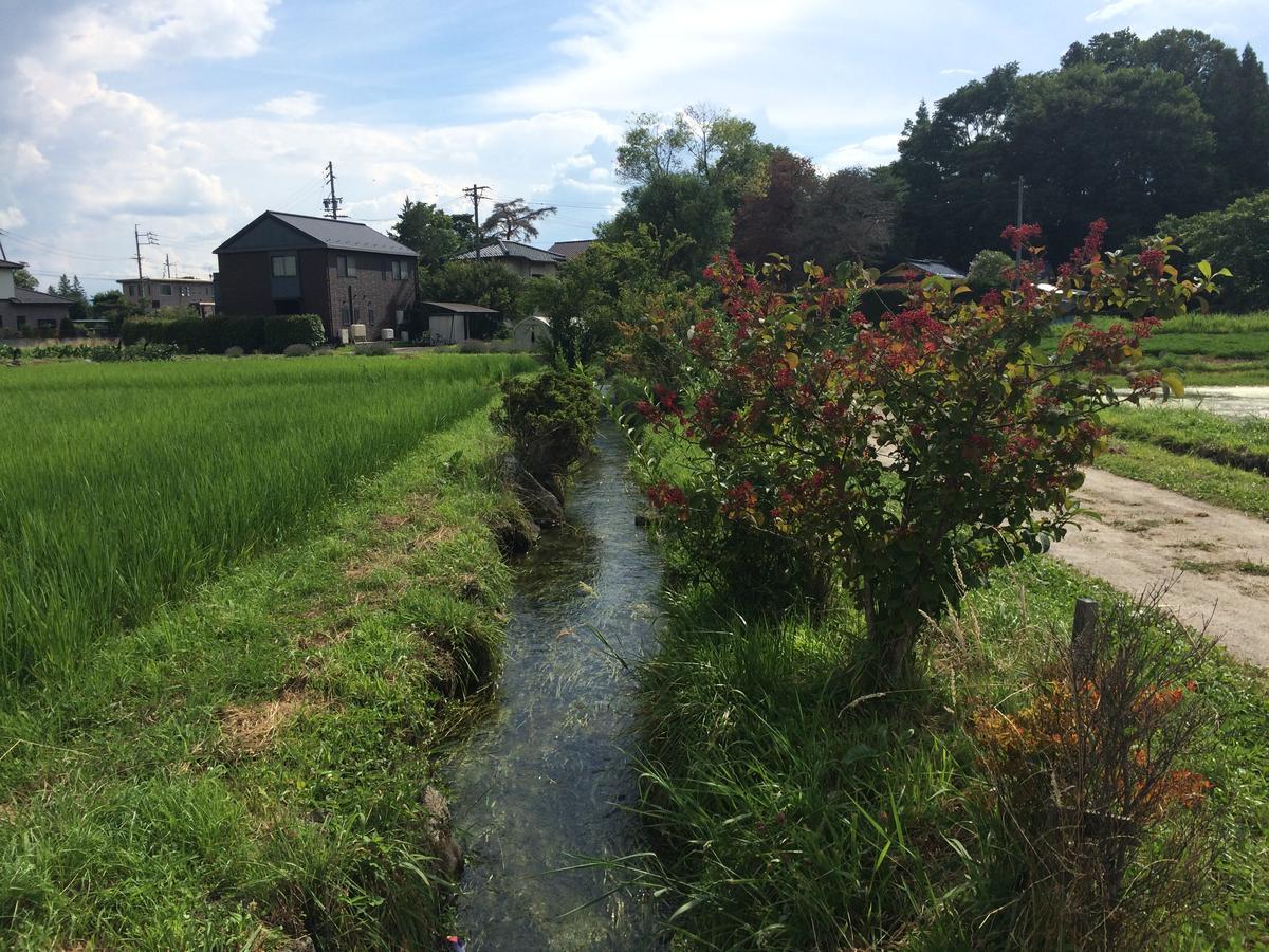 En Guest House Matsumoto Exterior foto